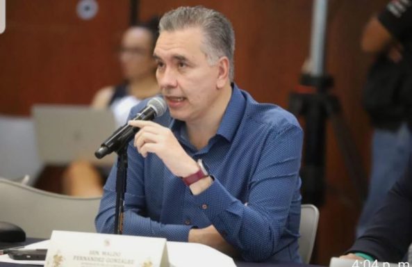 Las Comisiones Unidas de Puntos Constitucionales y de Estudios Legislativos aprobaron por unanimidad la Reforma de Pueblos Indígena y Afrome